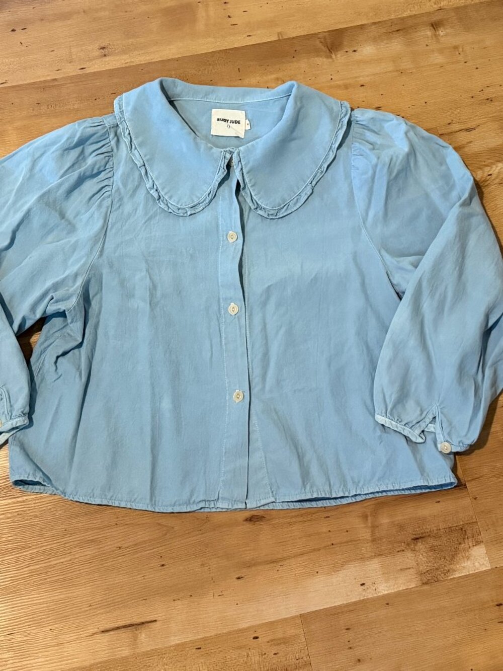 Rudy Jude Sky Blue Pony Blouse in original twill fabric